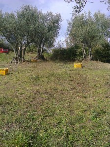 Foto0382
